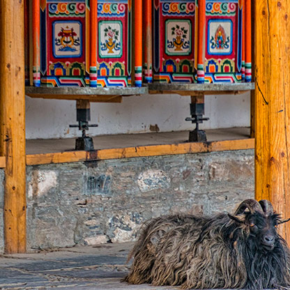 LABRANG | CHINA