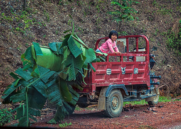 YUNNAN PROVINCE  | CHINA