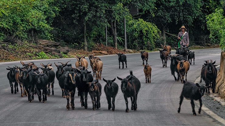 YUNNAN PROVINCE  | CHINA