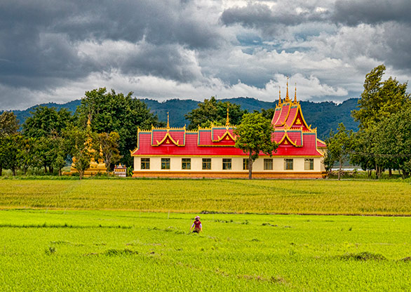 YUNNAN PROVINCE  | CHINA