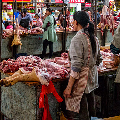 YUNNAN PROVINCE  | CHINA