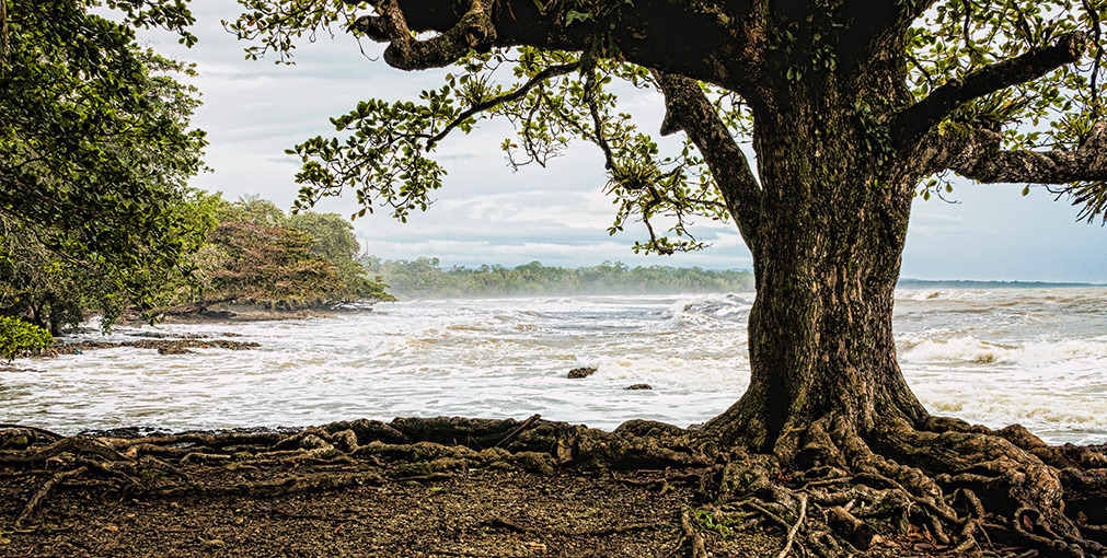CAHUITA | COSTA RICA