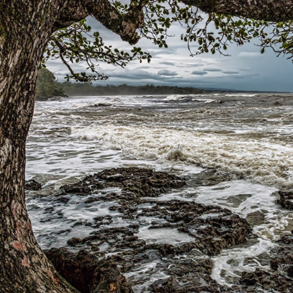 CAHUITA | COSTA RICA