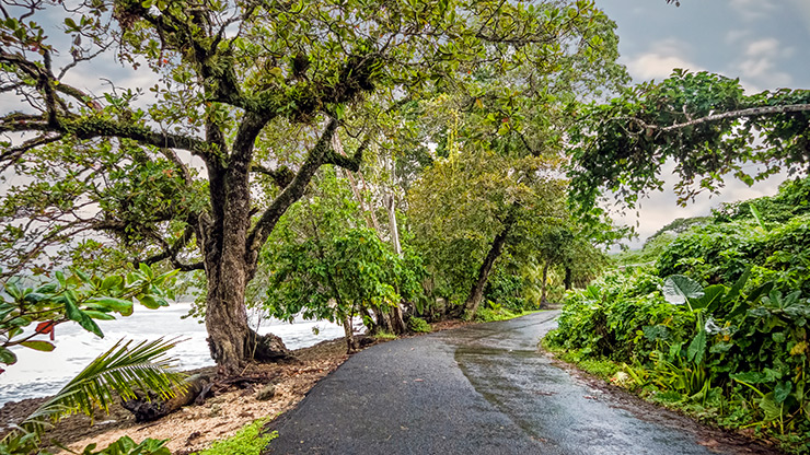 CAHUITA | COSTA RICA