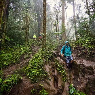 LA FORTUNA | COSTA RICA
