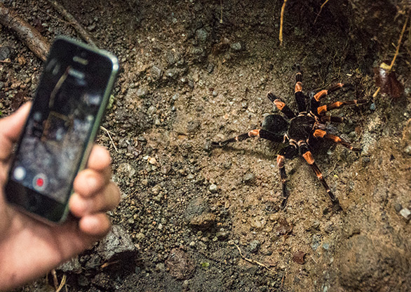 LA FORTUNA | COSTA RICA