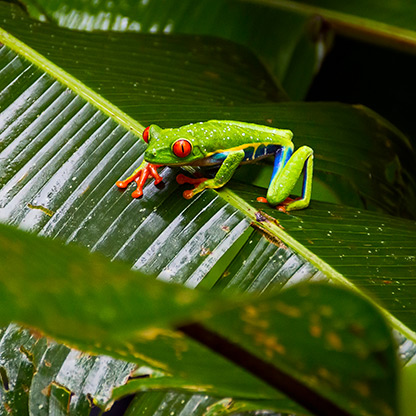 LA FORTUNA | COSTA RICA