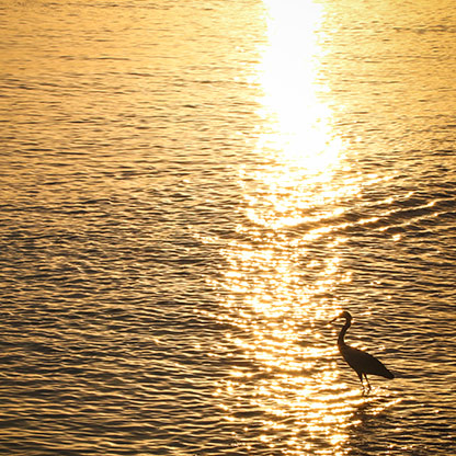 DOMINICAN REPUBLIC BAYAHIBE | DOMINICAN REPUBLIC