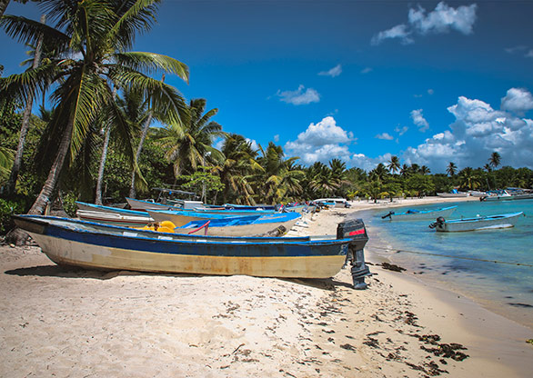 DOMINICAN REPUBLIC BAYAHIBE | DOMINICAN REPUBLIC