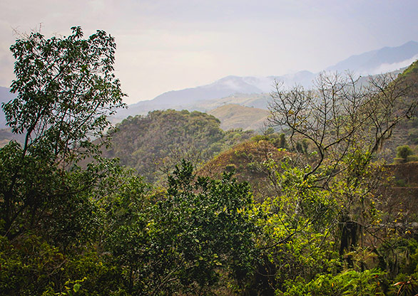 DOMINICAN REPUBLIC SAN JOSE DE OCOA | DOMINICAN REPUBLIC