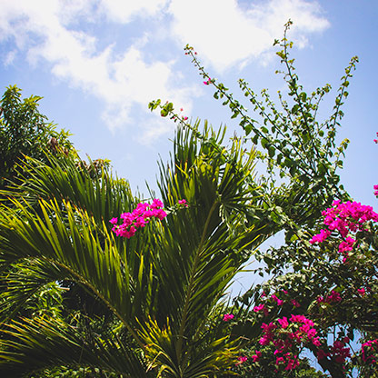 DOMINICAN REPUBLIC SAN JOSE DE OCOA | DOMINICAN REPUBLIC