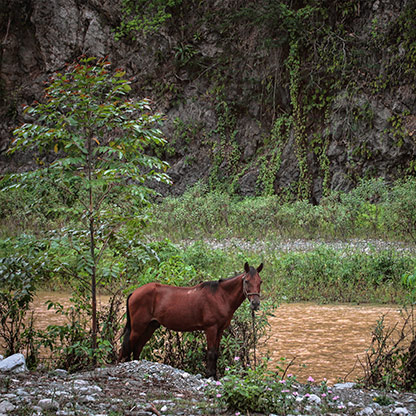DOMINICAN REPUBLIC SAN JOSE DE OCOA | DOMINICAN REPUBLIC