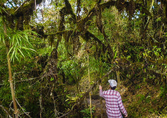 ECUADOR BANOS | ECUADOR