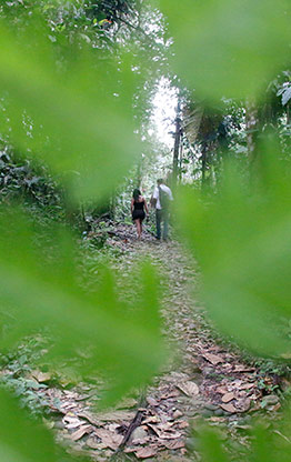ECUADOR COCA | ECUADOR