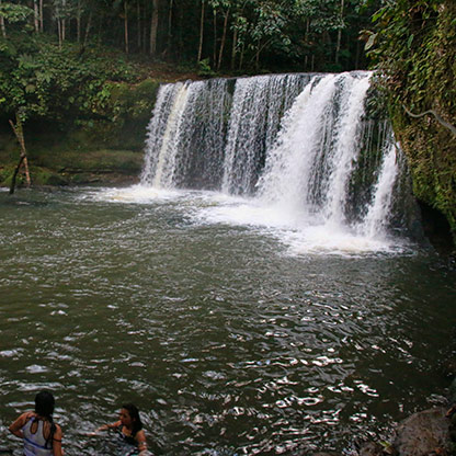 ECUADOR COCA | ECUADOR