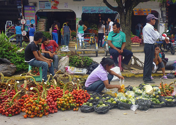 ECUADOR COCA | ECUADOR