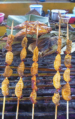 ECUADOR COCA | ECUADOR