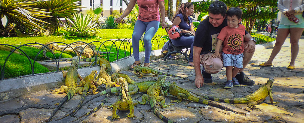 ECUADOR GUAYAQUIL | ECUADOR