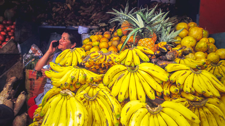ECUADOR OTAVALO | ECUADOR