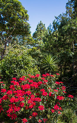 SAN SALVADOR | EL SALVADOR