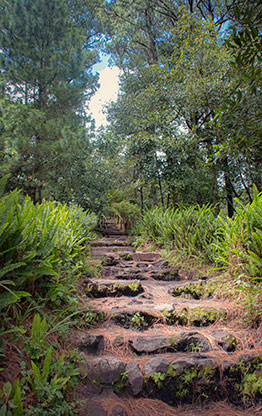 SAN SALVADOR | EL SALVADOR