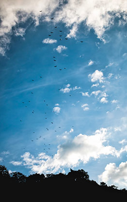 PANCHIMALCO | EL SALVADOR