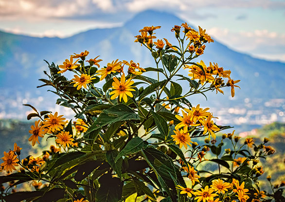 PUERTO DEL DIABLO | EL SALVADOR