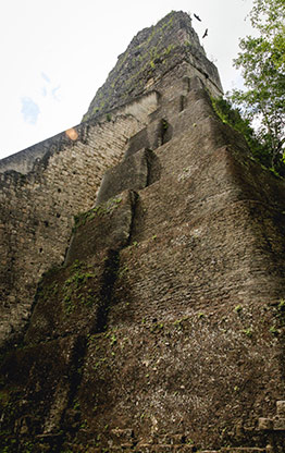 GUATEMALA TIKAL | GUATEMALA