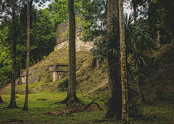 GUATEMALA TIKAL | GUATEMALA