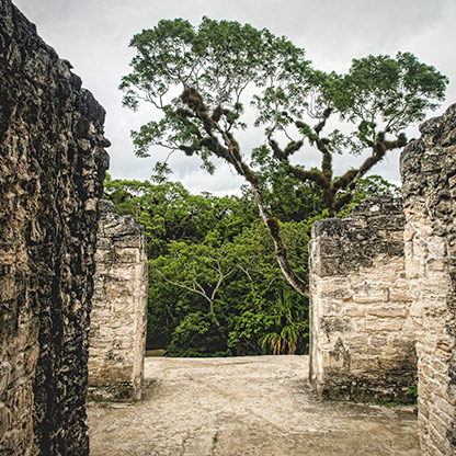 GUATEMALA TIKAL | GUATEMALA