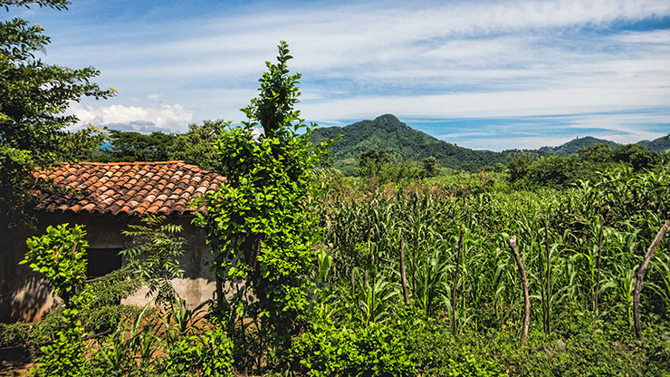 HONDURAS CONCEPCION DE MARIA | HONDURAS