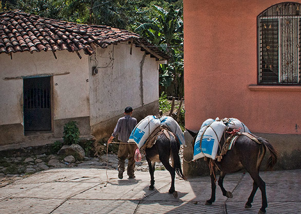 HONDURAS CONCEPCION DE MARIA | HONDURAS