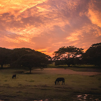 HONDURAS CONCEPCION DE MARIA | HONDURAS