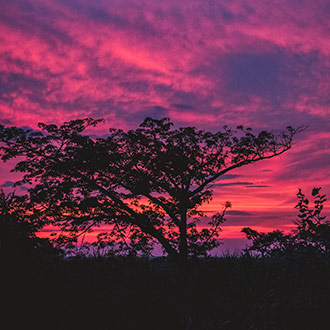 HONDURAS CONCEPCION DE MARIA | HONDURAS