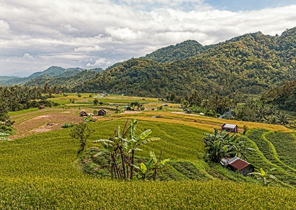 INDONESIA PARIANGAN | INDONESIA