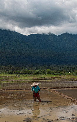 INDONESIA LAKE SINGKARAK | INDONESIA