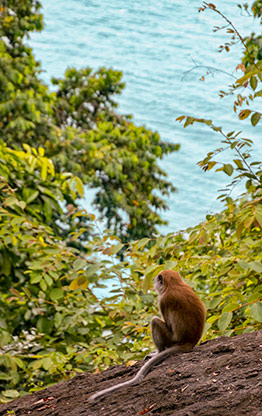 INDONESIA PADANG | INDONESIA