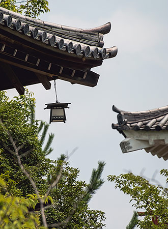 FUKUYAMA | JAPAN FUKUYAMA | JAPAN