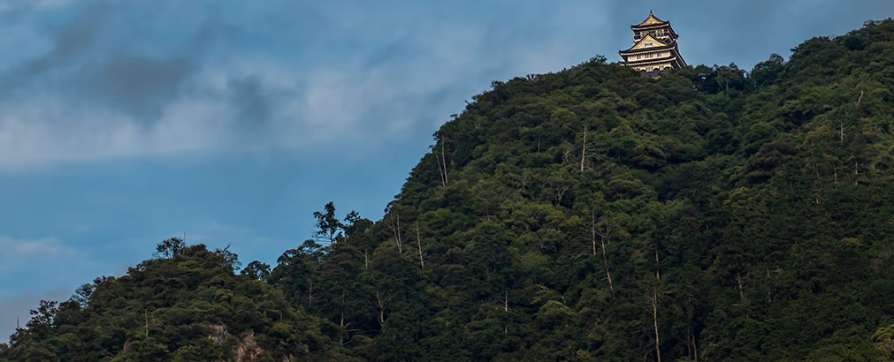 GIFU | JAPAN GIFU | JAPAN