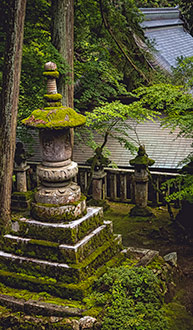 GIFU | JAPAN GIFU | JAPAN