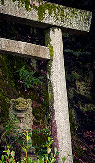 GIFU | JAPAN GIFU | JAPAN