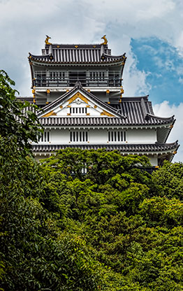 GIFU | JAPAN GIFU | JAPAN