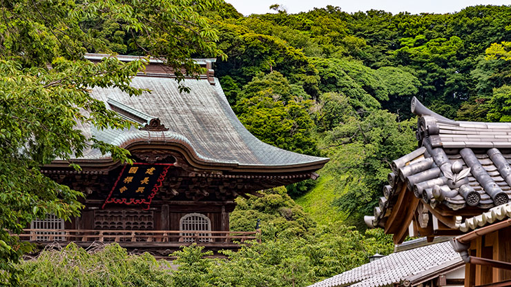 KAMAKURA | JAPAN KAMAKURA | JAPAN