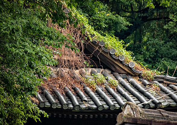 KURASHIKI | JAPAN KURASHIKI | JAPAN