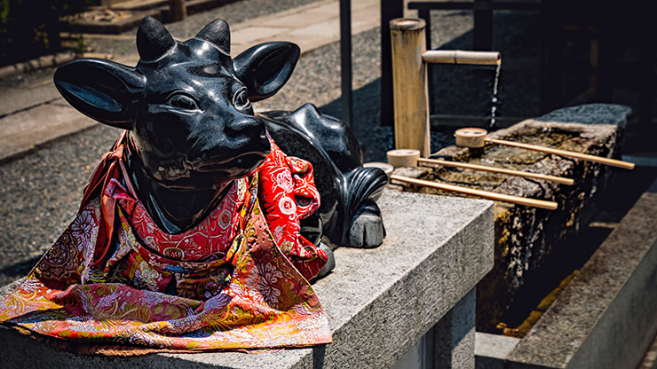 KYOTO | JAPAN KYOTO | JAPAN