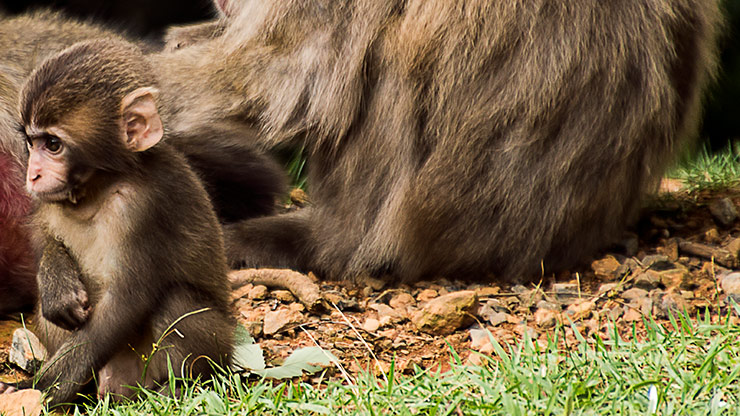 KYOTO | JAPAN KYOTO | JAPAN