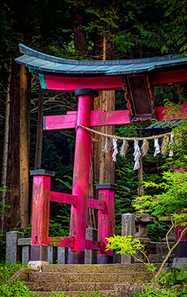 MIYANOKOSHI | JAPAN MIYANOKOSHI | JAPAN