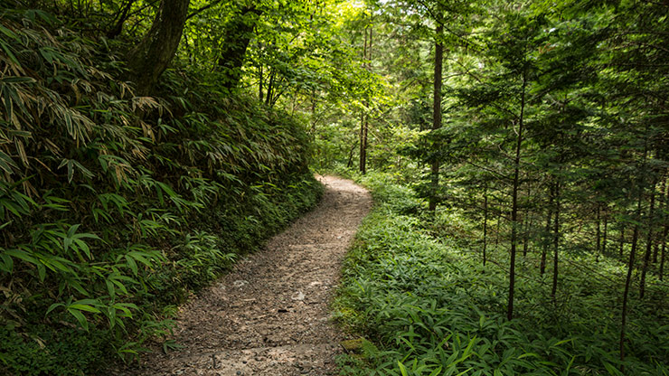 NAKASENDO TRAIL | JAPAN NAKASENDO TRAIL | JAPAN