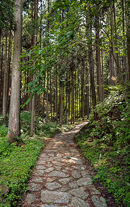 NAKASENDO TRAIL | JAPAN NAKASENDO TRAIL | JAPAN
