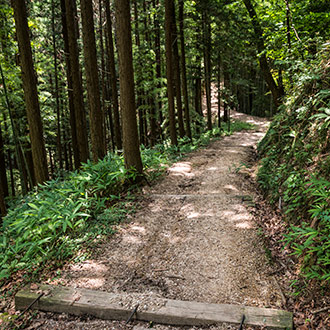 NAKASENDO TRAIL | JAPAN NAKASENDO TRAIL | JAPAN